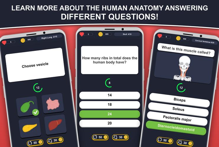Anato Trivia Captura de tela 0