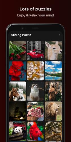 Sliding Puzzle Ảnh chụp màn hình 1