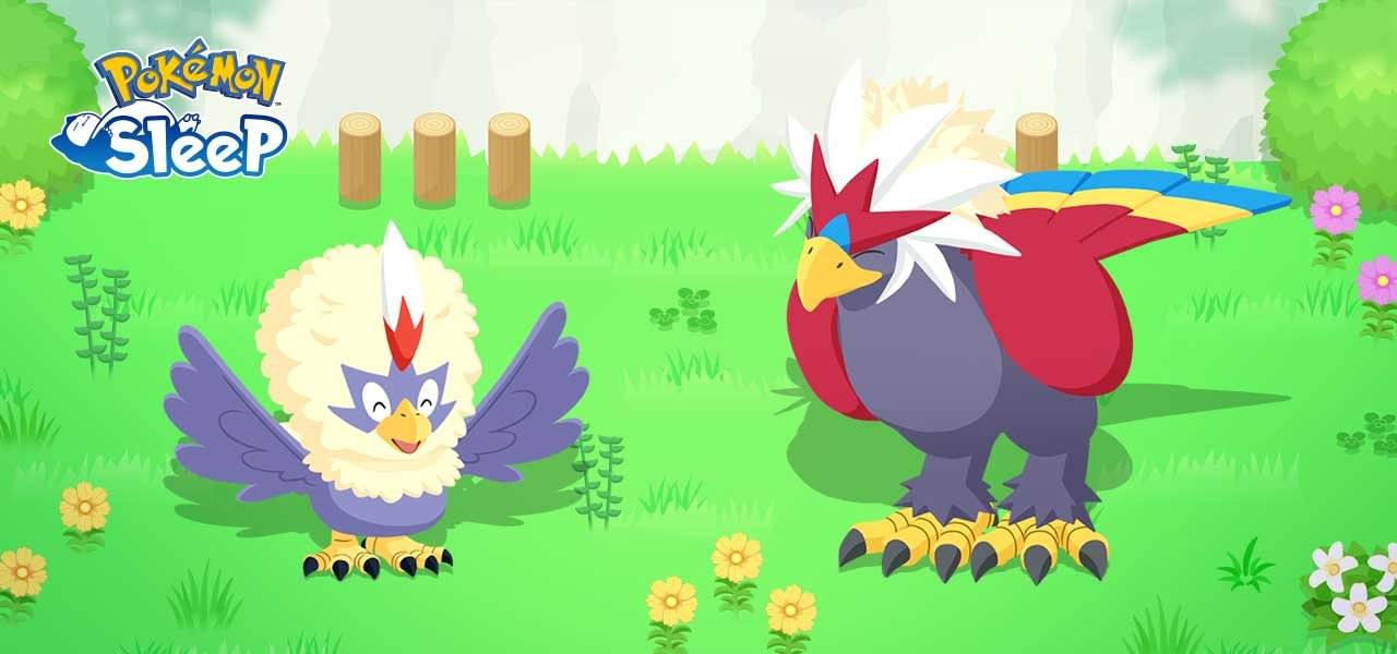 Pokemon Sleep thêm Rufflet và Braviary vào những cuộc gặp gỡ mơ mộng của bạn vào tháng 1 này