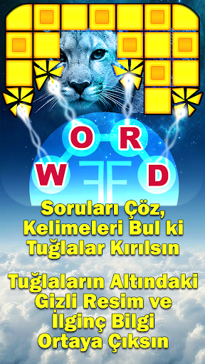 Word Fun Fact (WFF) Word Games Скриншот 2