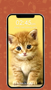 Kitty Cat Pin Lock Screen Captura de pantalla 0