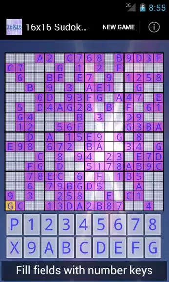 16x16 Sudoku Challenge HD应用截图第0张