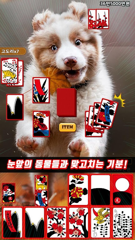 애니멀 맞고 - 동물 팻 고스톱 Tangkapan skrin 1