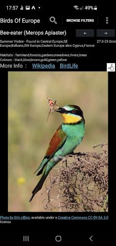 Birds Of Europe Guide 스크린샷 2