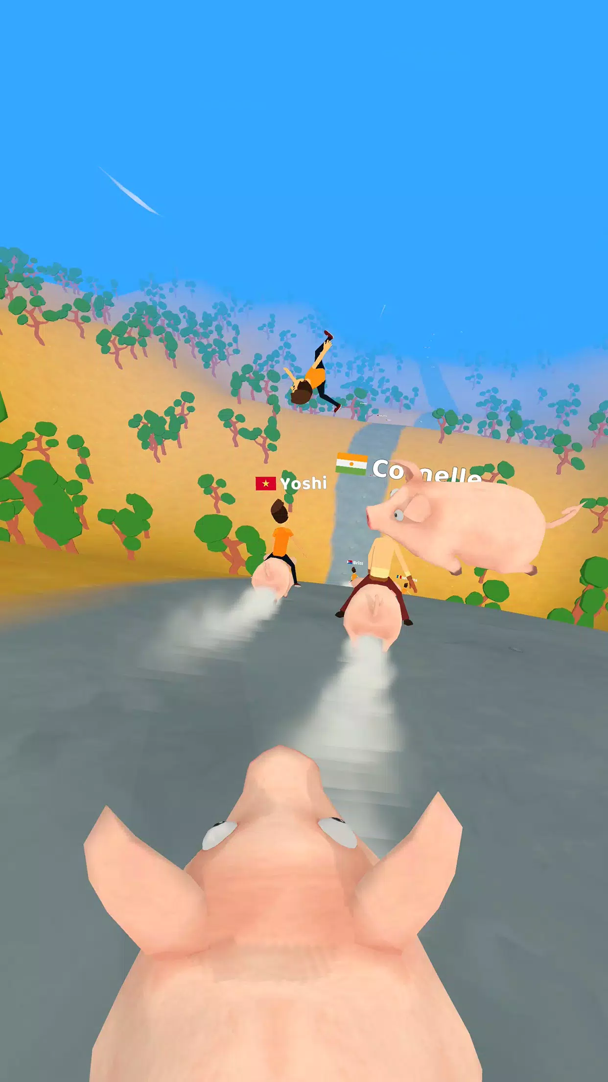 Pig Riders Screenshot 0