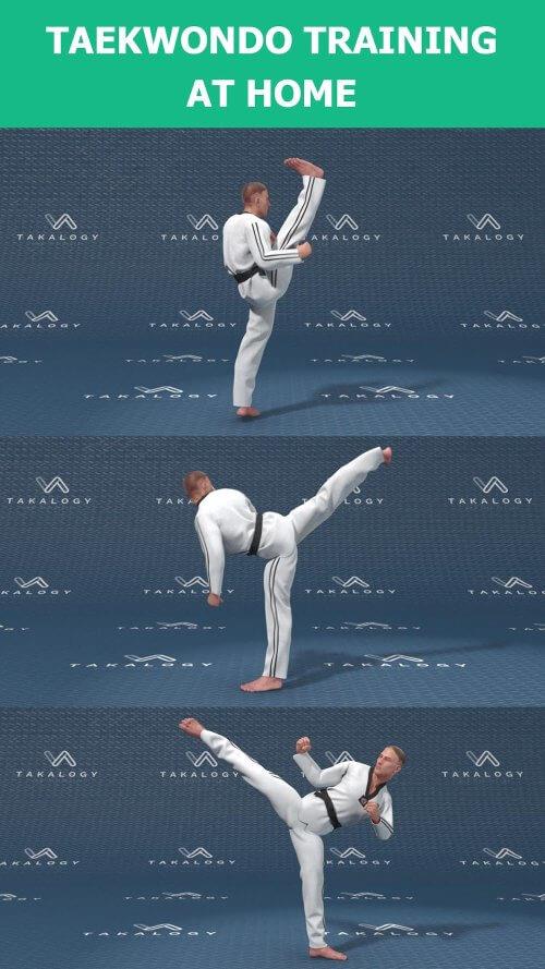 Mastering Taekwondo at Home Ekran Görüntüsü 1