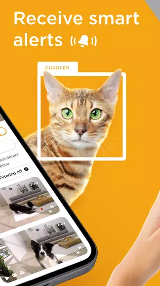 Petcube Capture d'écran 1