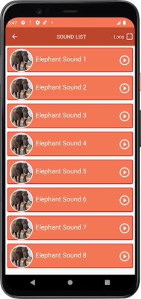 Elephant Sounds Schermafbeelding 0