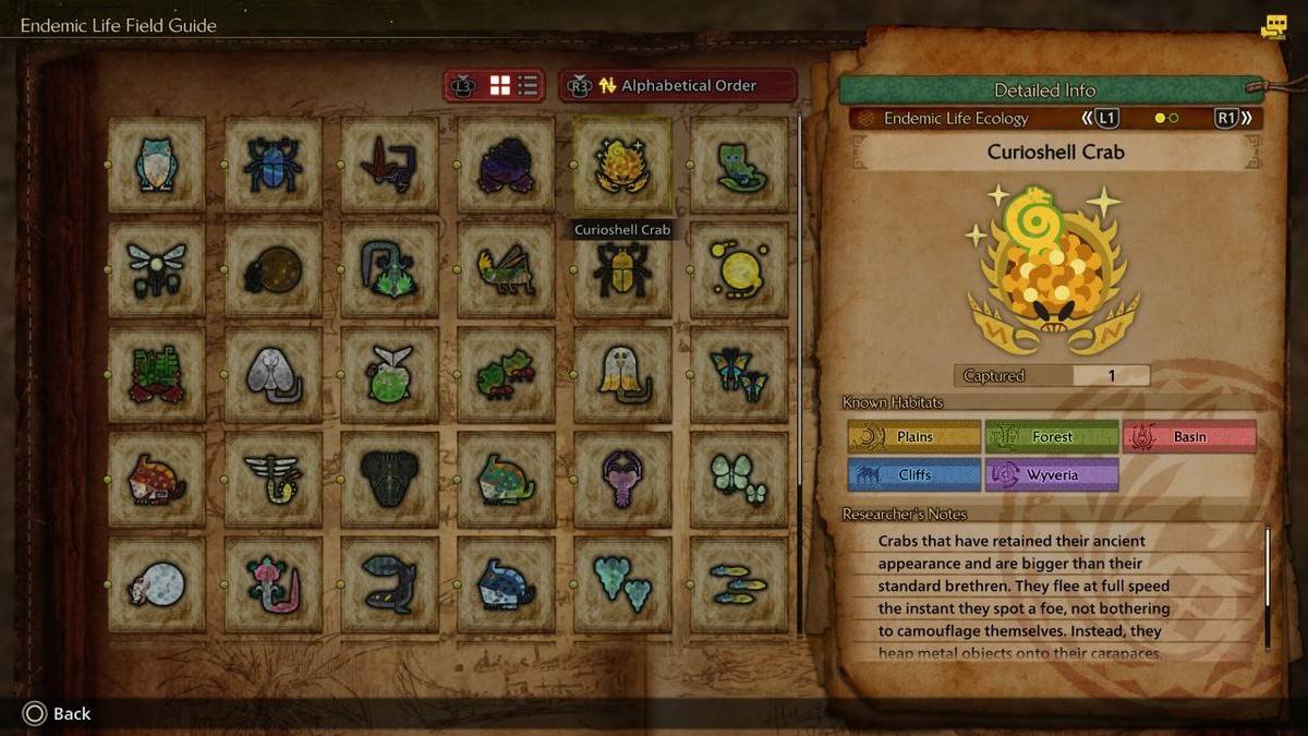 Um guia para ganhar o prêmio A High em Monster Hunter Wilds
