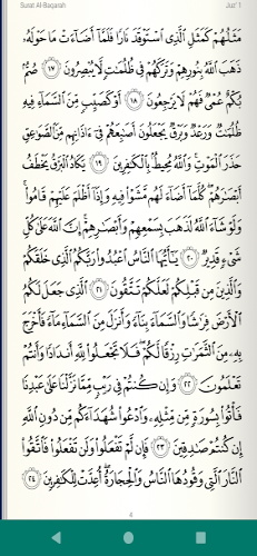 Read Listen Quran  قرآن كريم Schermafbeelding 1