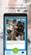 feed a dog: animal welfare應用截圖第2張