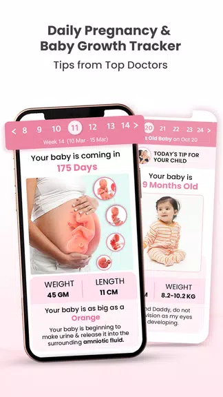 Healofy Pregnancy & Parenting ဖန်သားပြင်ဓာတ်ပုံ 1