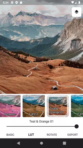 3DLUT mobile 2 스크린샷 2