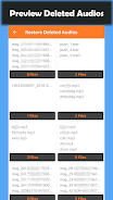 Deleted Audio Recovery স্ক্রিনশট 2