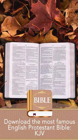 KJV Bible ภาพหน้าจอ 2