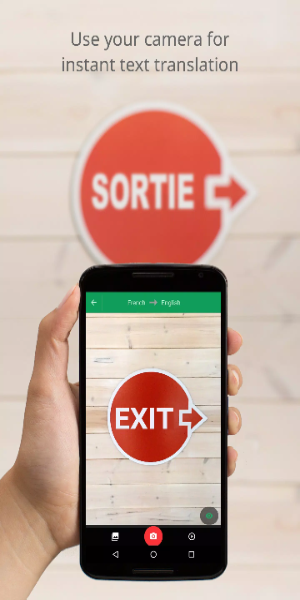 Google Traduction Capture d'écran 1