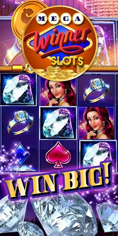 Mega Winner Slots Screenshot 2