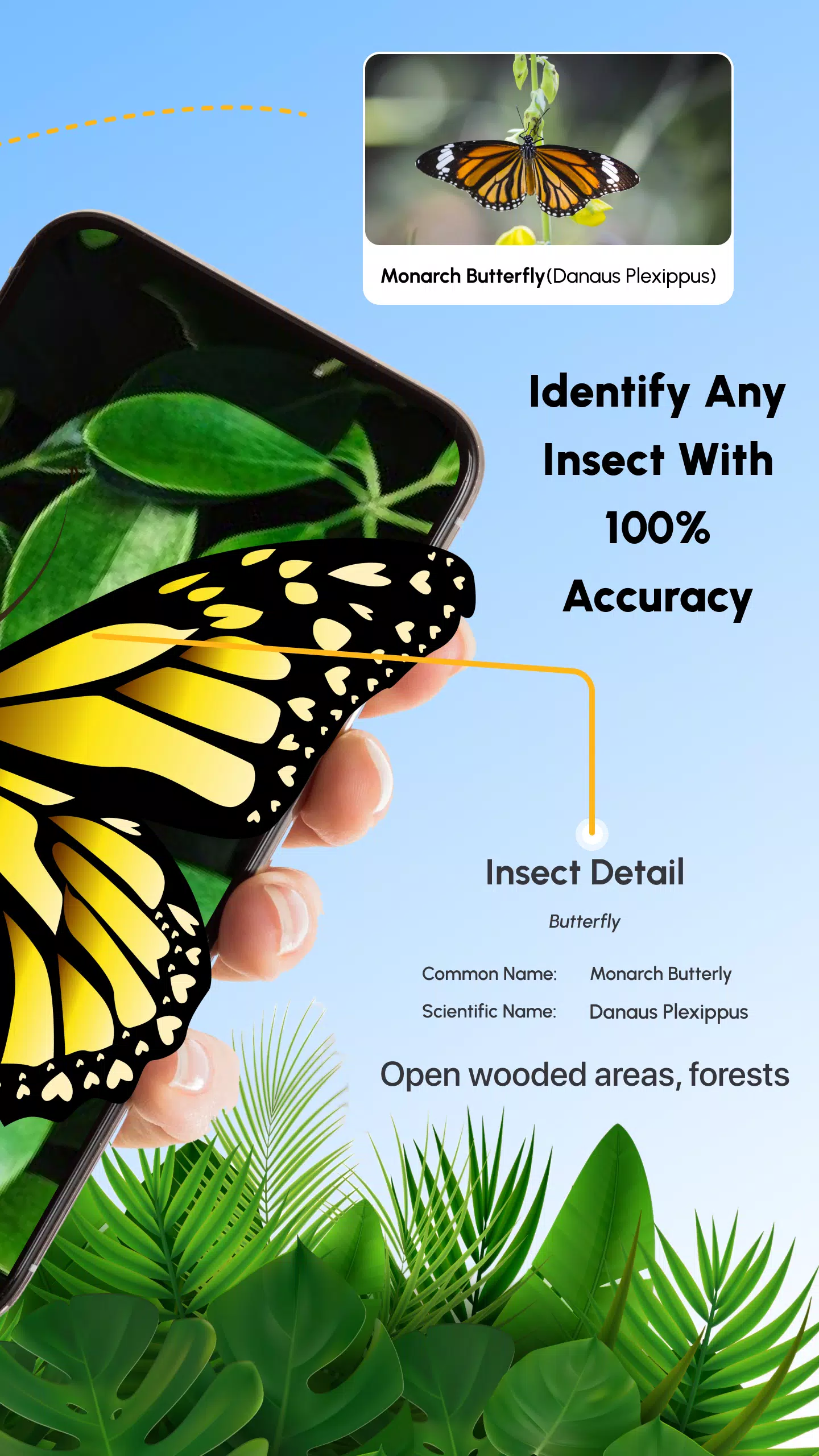 Insect Identifier Bug Identify Captura de tela 1