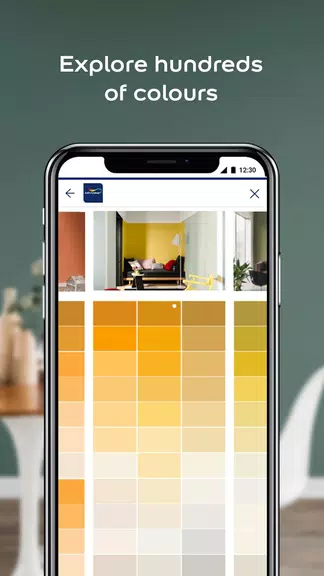 Dulux Visualizer ZA Ekran Görüntüsü 1