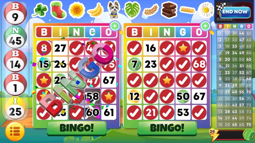 Bingo Classic Tangkapan skrin 2