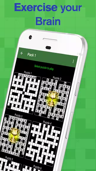 Cryptic Crossword Lite ဖန်သားပြင်ဓာတ်ပုံ 2