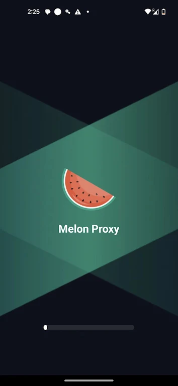 Schermata Melon Proxy 0