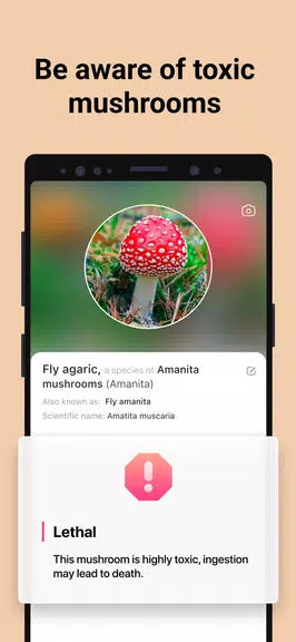 Picture Mushroom - Mushroom ID Скриншот 2