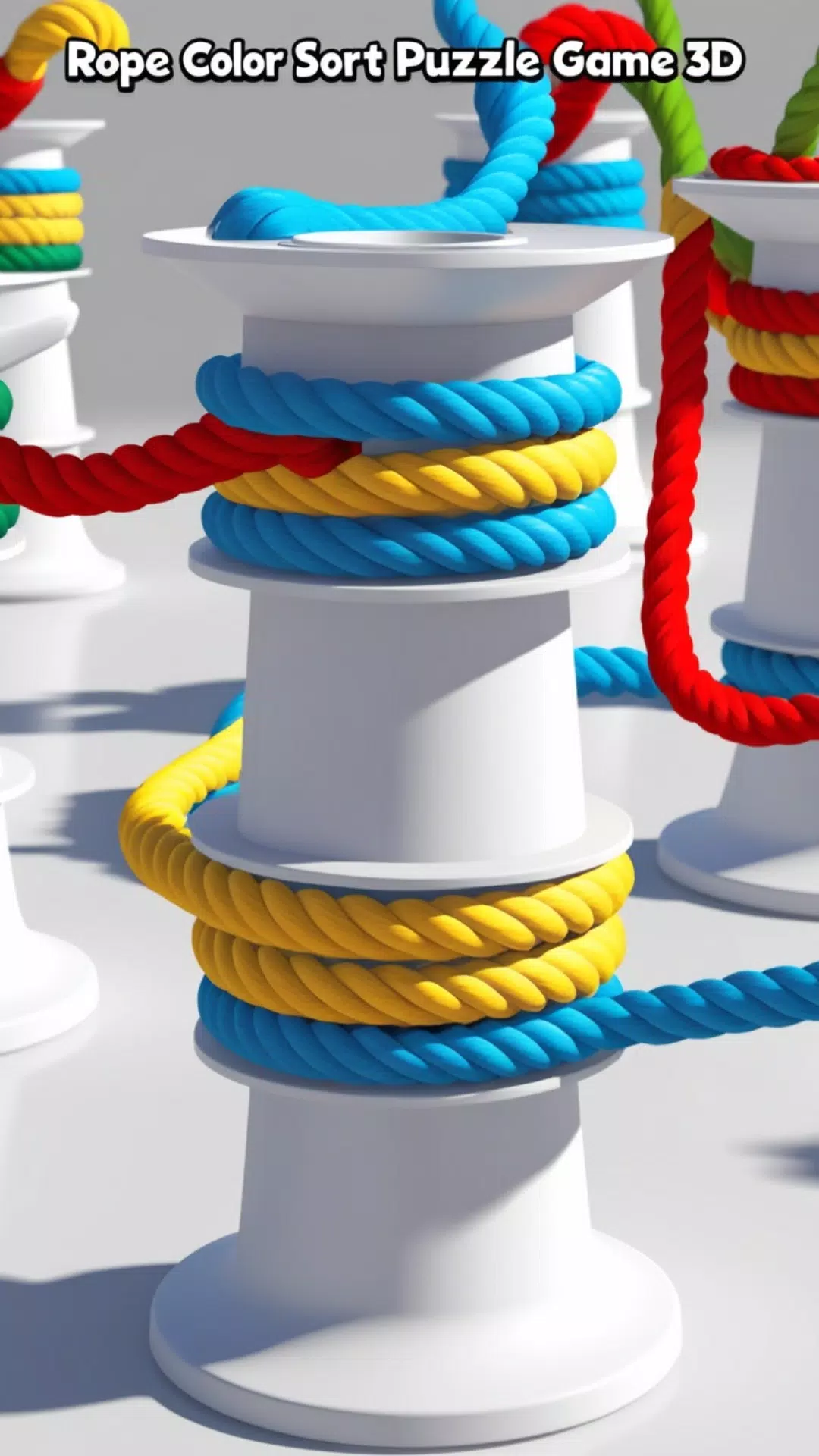 Schermata Rope Color Sort Puzzle Game 3D 1