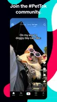 TikTok: Videos, Lives & Musik Скриншот 3