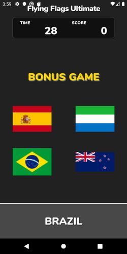 Flying Flags Ultimate Скриншот 1