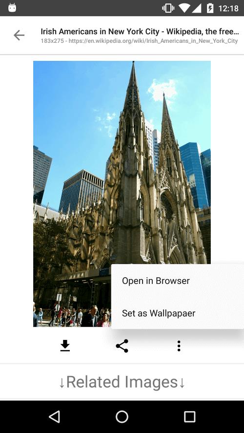 ImageSearchMan ภาพหน้าจอ 3