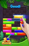 Block Puzzle-Jewel Blast ภาพหน้าจอ 2