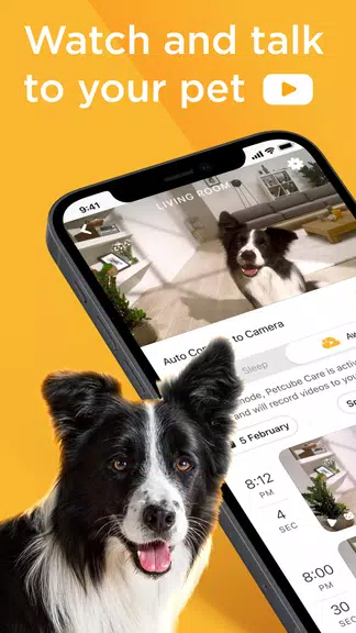 Petcube Capture d'écran 0