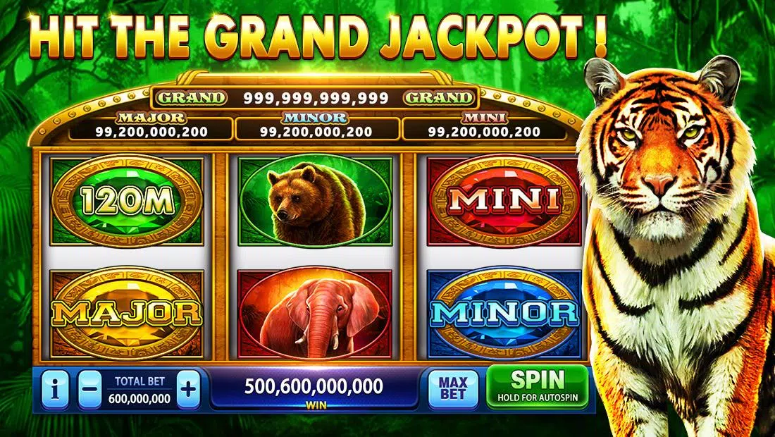 Pirate Fortune Slots Casino Ekran Görüntüsü 3