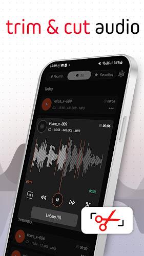 Voice Recorder Pro - VoiceX Captura de tela 1