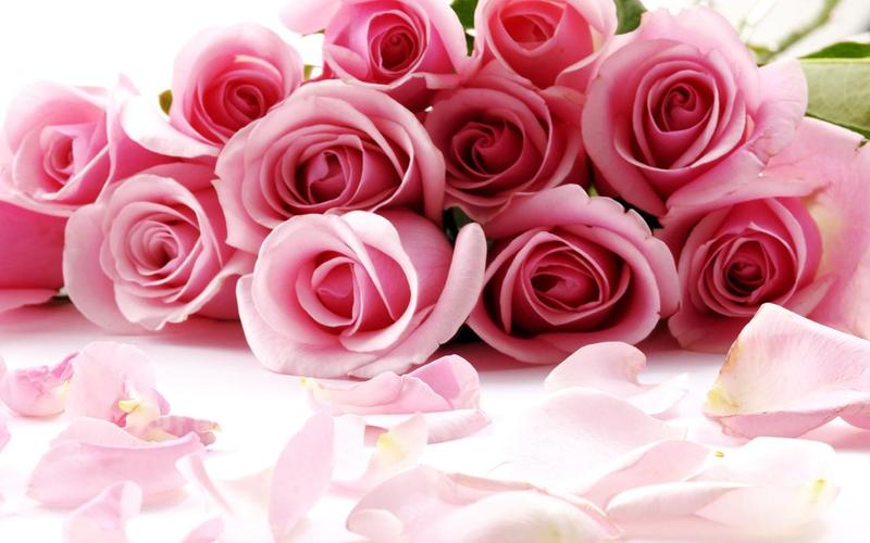 Roses Jigsaw Puzzles Captura de tela 2
