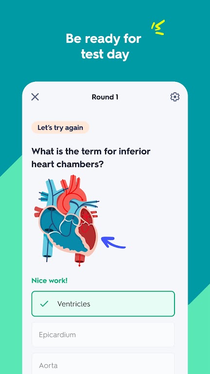 Quizlet: AI-powered Flashcards Mod ภาพหน้าจอ 2