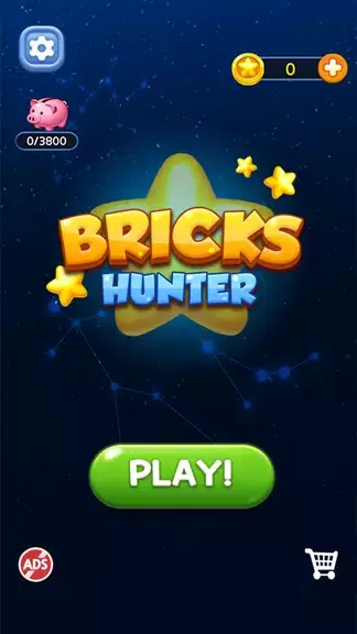 Bricks Hunter : Cube Puzzle Ảnh chụp màn hình 0