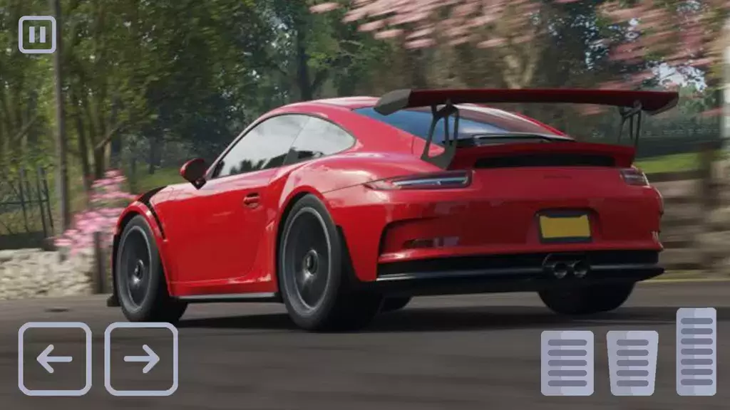 Racing Porsche Carrera 911 GT3 Скриншот 3