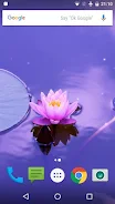 Zen Live Wallpaper Captura de tela 2