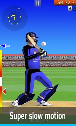 Smashing Cricket Ảnh chụp màn hình 0