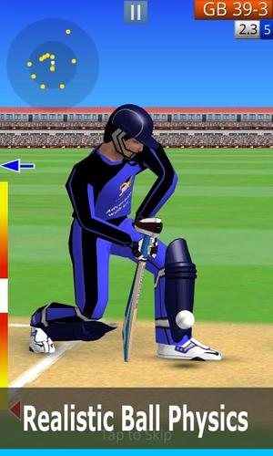 Smashing Cricket Tangkapan skrin 2