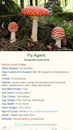 Shroomify - Mushroom Identific應用截圖第0張