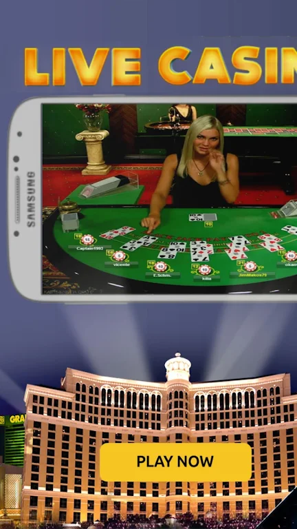 SPINPALACE - New Bonuses Ảnh chụp màn hình 1