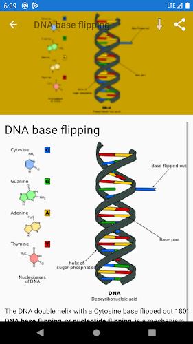 Molecular biology ภาพหน้าจอ 3