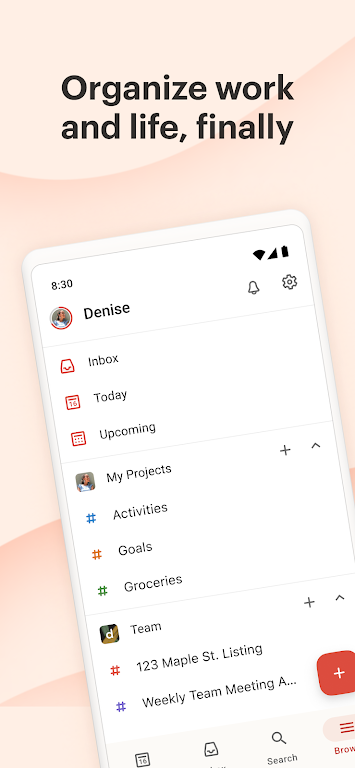 Todoist: Agenda y calendario Captura de pantalla 0