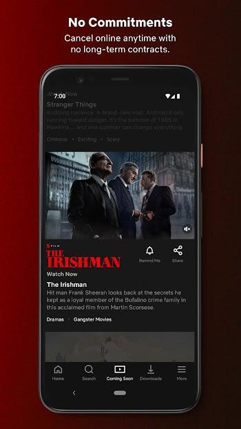 Netflix Mod Screenshot 1