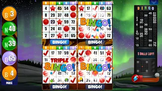 Absolute Bingo ภาพหน้าจอ 2