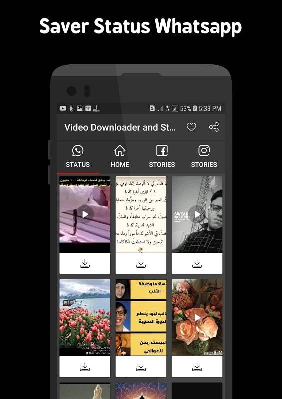 Video Downloader and Stories ภาพหน้าจอ 2