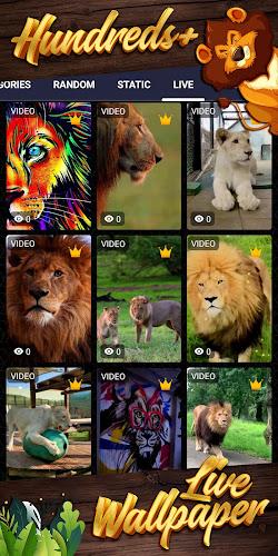 lion background ဖန်သားပြင်ဓာတ်ပုံ 2